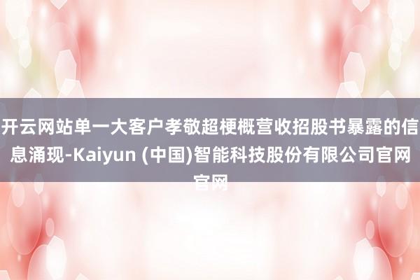 开云网站单一大客户孝敬超梗概营收 招股书暴露的信息涌现-Kaiyun (中国)智能科技股份有限公司官网