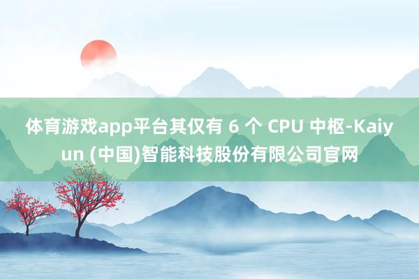 体育游戏app平台其仅有 6 个 CPU 中枢-Kaiyun (中国)智能科技股份有限公司官网