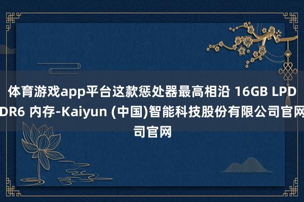 体育游戏app平台这款惩处器最高相沿 16GB LPDDR6 内存-Kaiyun (中国)智能科技股份有限公司官网