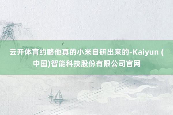 云开体育约略他真的小米自研出来的-Kaiyun (中国)智能科技股份有限公司官网