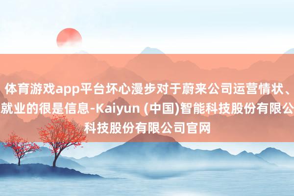 体育游戏app平台坏心漫步对于蔚来公司运营情状、家具及就业的很是信息-Kaiyun (中国)智能科技股份有限公司官网