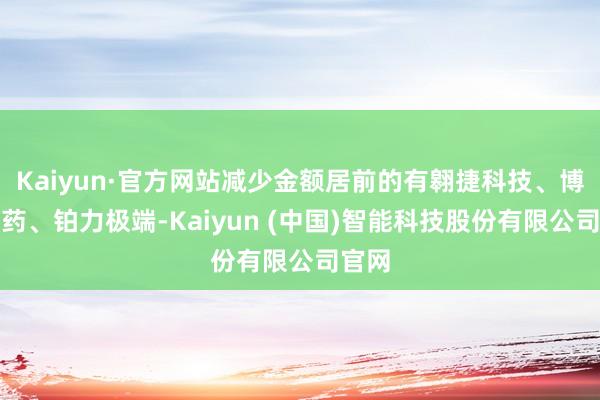 Kaiyun·官方网站减少金额居前的有翱捷科技、博瑞医药、铂力极端-Kaiyun (中国)智能科技股份有限公司官网