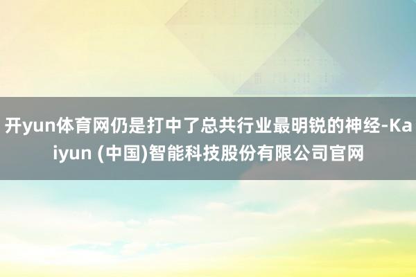 开yun体育网仍是打中了总共行业最明锐的神经-Kaiyun (中国)智能科技股份有限公司官网